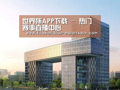 案例展示四(图1)