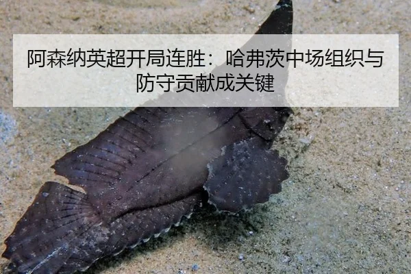 a-sen-na-ying-chao-kai-ju-lian-sheng-ha-fu-ci-zhong-chang-zu-zhi-yu-fang-shou-gong-xian-cheng-guan-jian-3-983.jpg