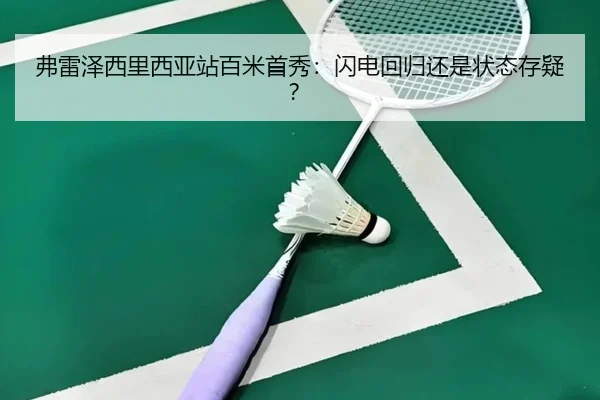 fu-lei-ze-xi-li-xi-ya-zhan-bai-mi-shou-xiu-shan-dian-hui-gui-huan-shi-zhuang-tai-cun-yi-3-606.jpg