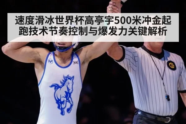 速度滑冰世界杯高亭宇500米冲金起跑技术节奏控制与爆发力关键解析