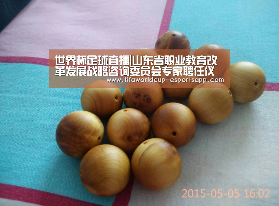 世界杯足球直播|山东省职业教育改革发展战略咨询委员会专家聘任仪式举行(图2) 世界杯APP下载