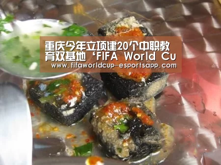 世界杯综合娱乐平台